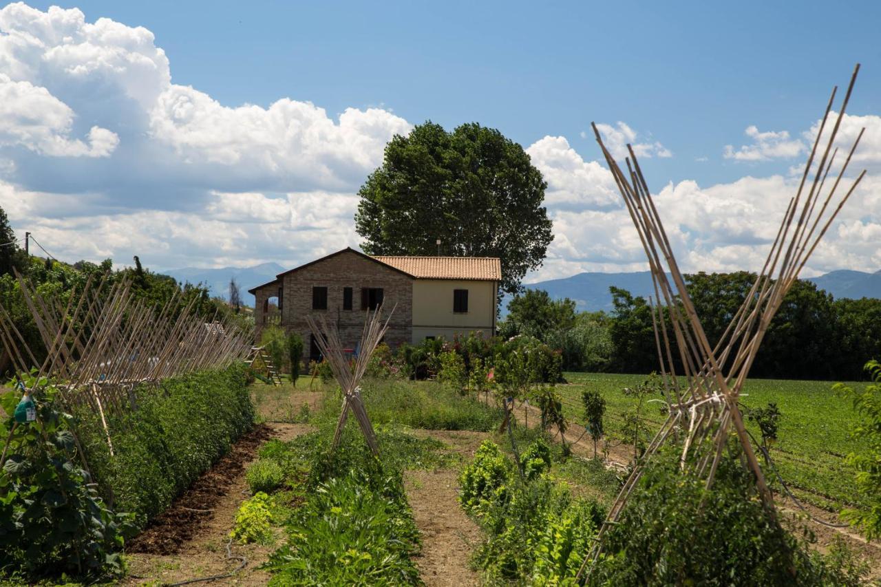 Agriturismo Terralieta Roseto Degli Abruzzi Exterior foto